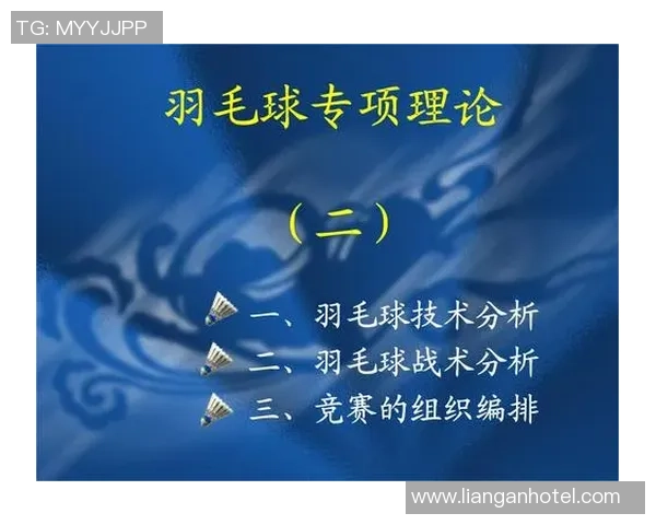 北京羽毛球队总决赛技术分析与表现评估探讨